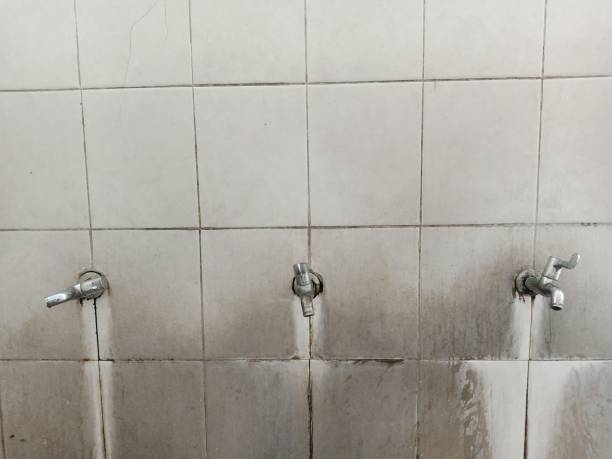 Best Sewage cleanup and water damage restoration  in Etna, PA