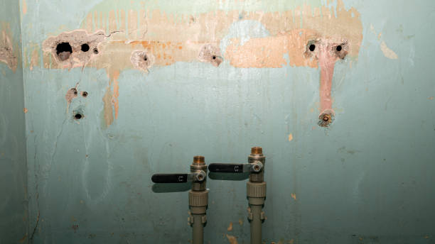 Best Mold removal after water damage  in Etna, PA