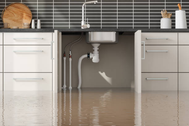 Best Water damage repair service  in Etna, PA