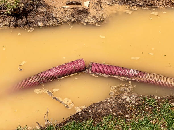 Best Water damage contractors near me  in Etna, PA