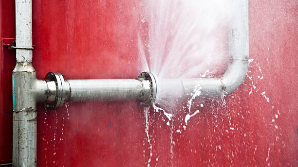 Best Professional water damage repair  in Etna, PA
