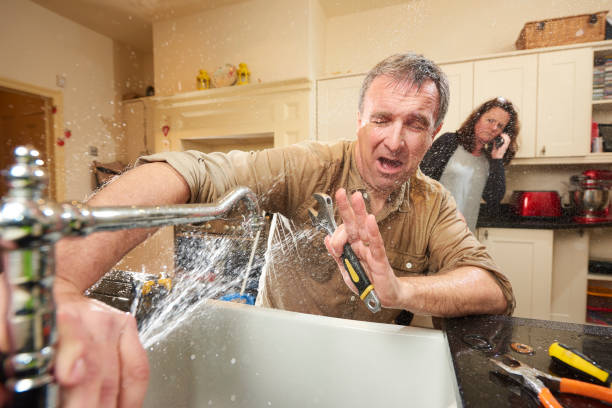 Best Local water damage restoration  in Etna, PA